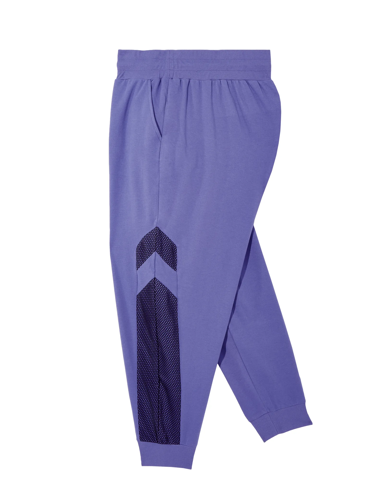 Burk Jogger with Mesh Details | Royal Blue / Black