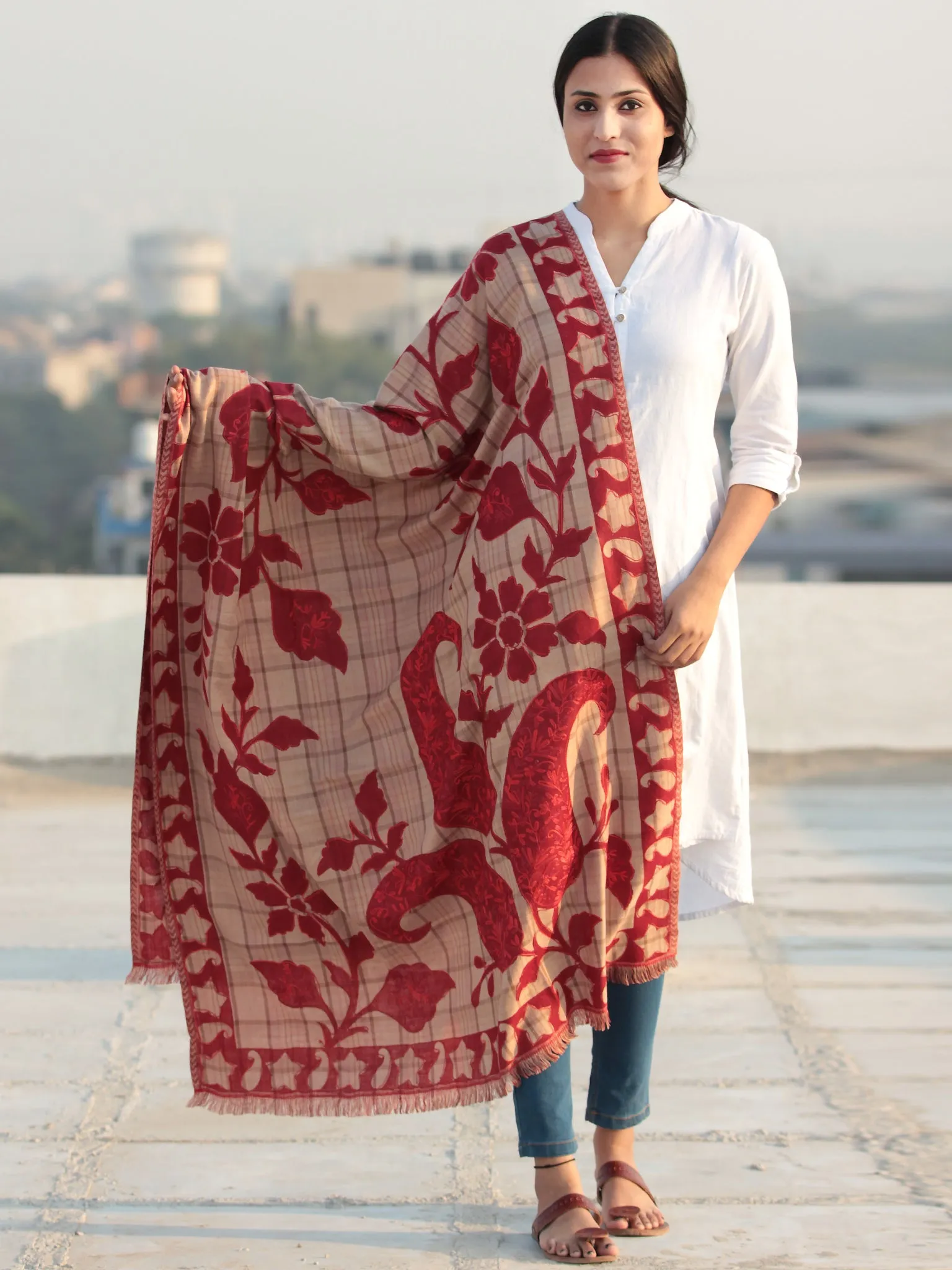 Red Beige Aari Embroidered Pure Wool Self Check Kashmiri Shawl - S200513